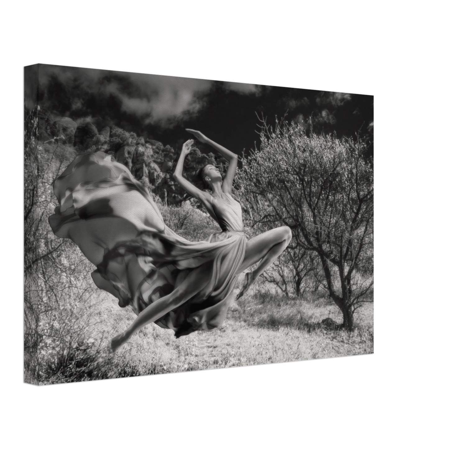 01a5d5f4-27a2-48e9-945a-15cd9ffab121