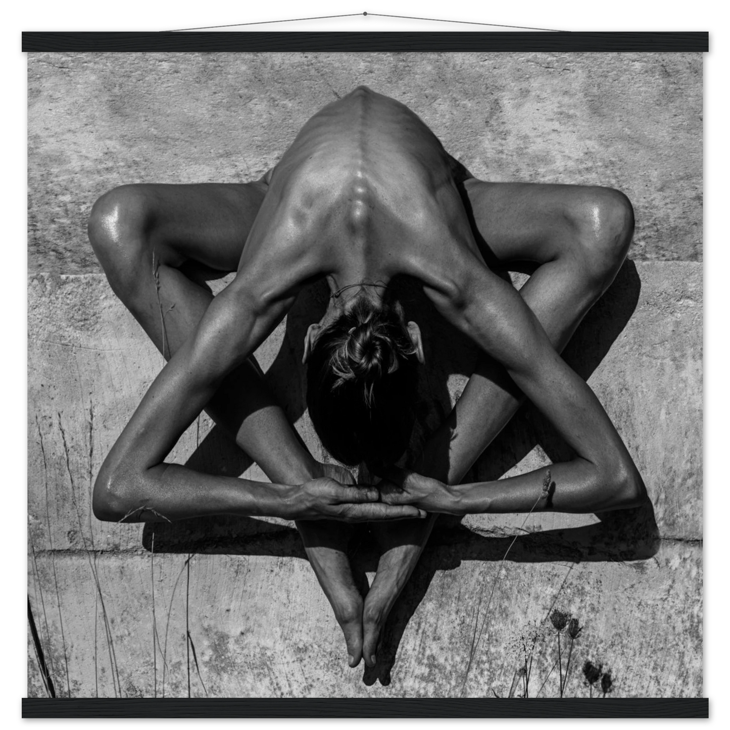 0323a5b4-56b5-44a3-82ab-fa777477676f