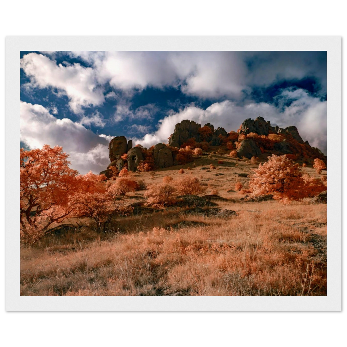 032786eb-faf1-4fd1-8b7f-7dbb0e052919