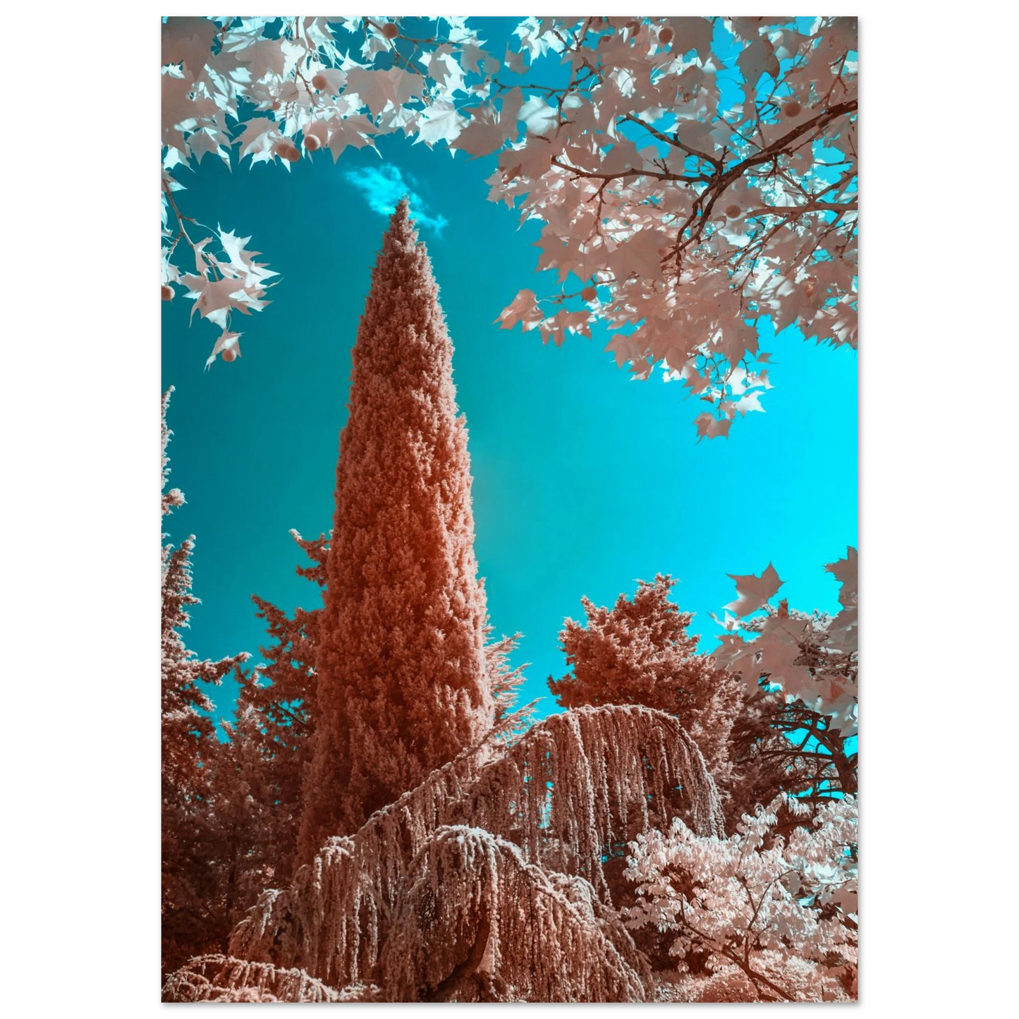 0544ef1c-41e1-4a3a-b3d5-2d213ac3ef1d