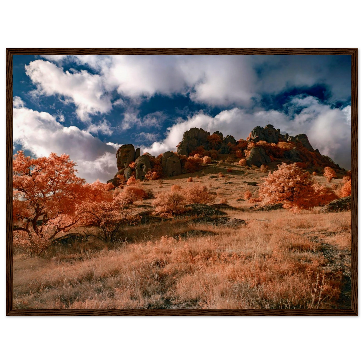 06b7d2ff-e50a-4dc6-b6bb-f5026371cac0