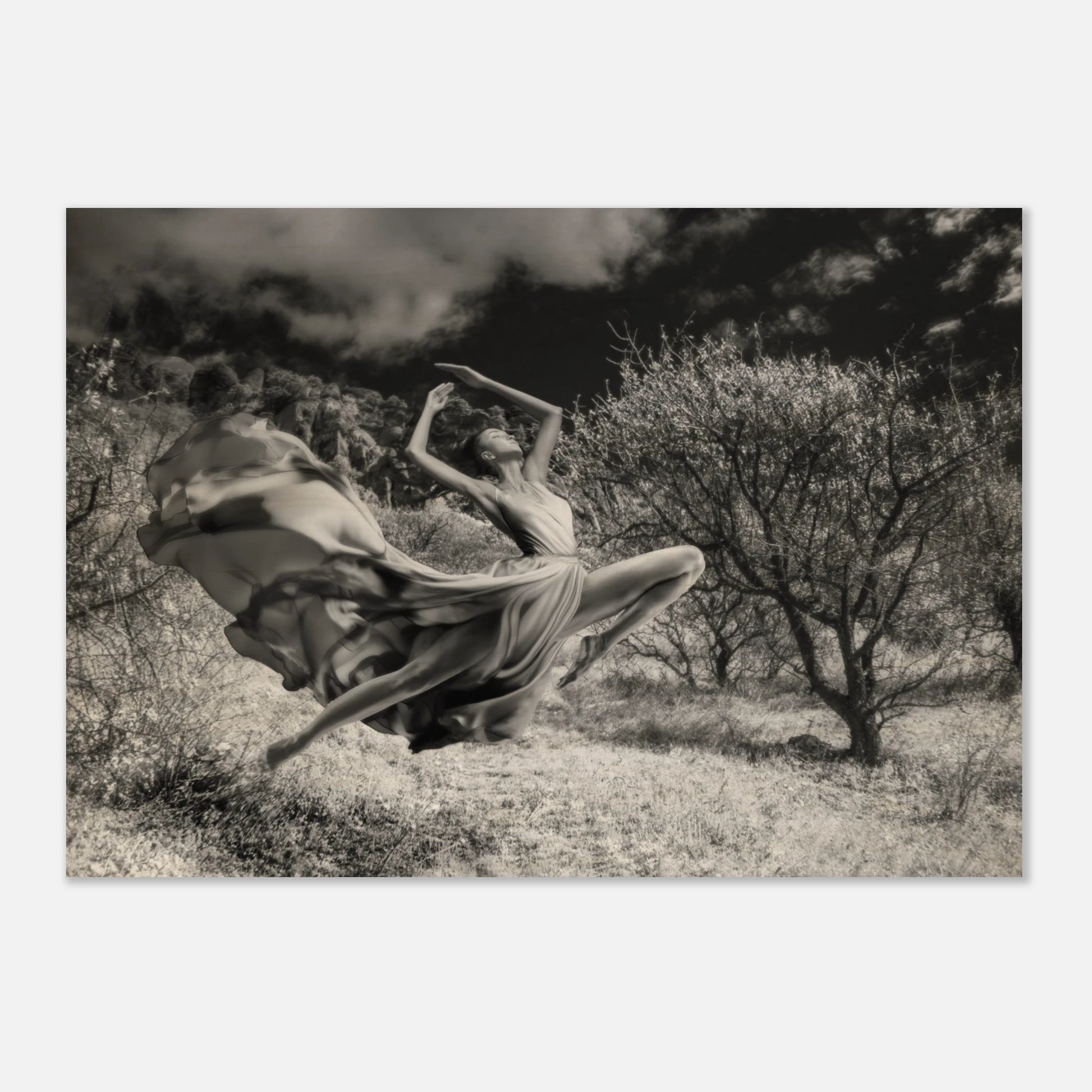 06ffd7a8-082f-43b7-a927-a244fec01b1c