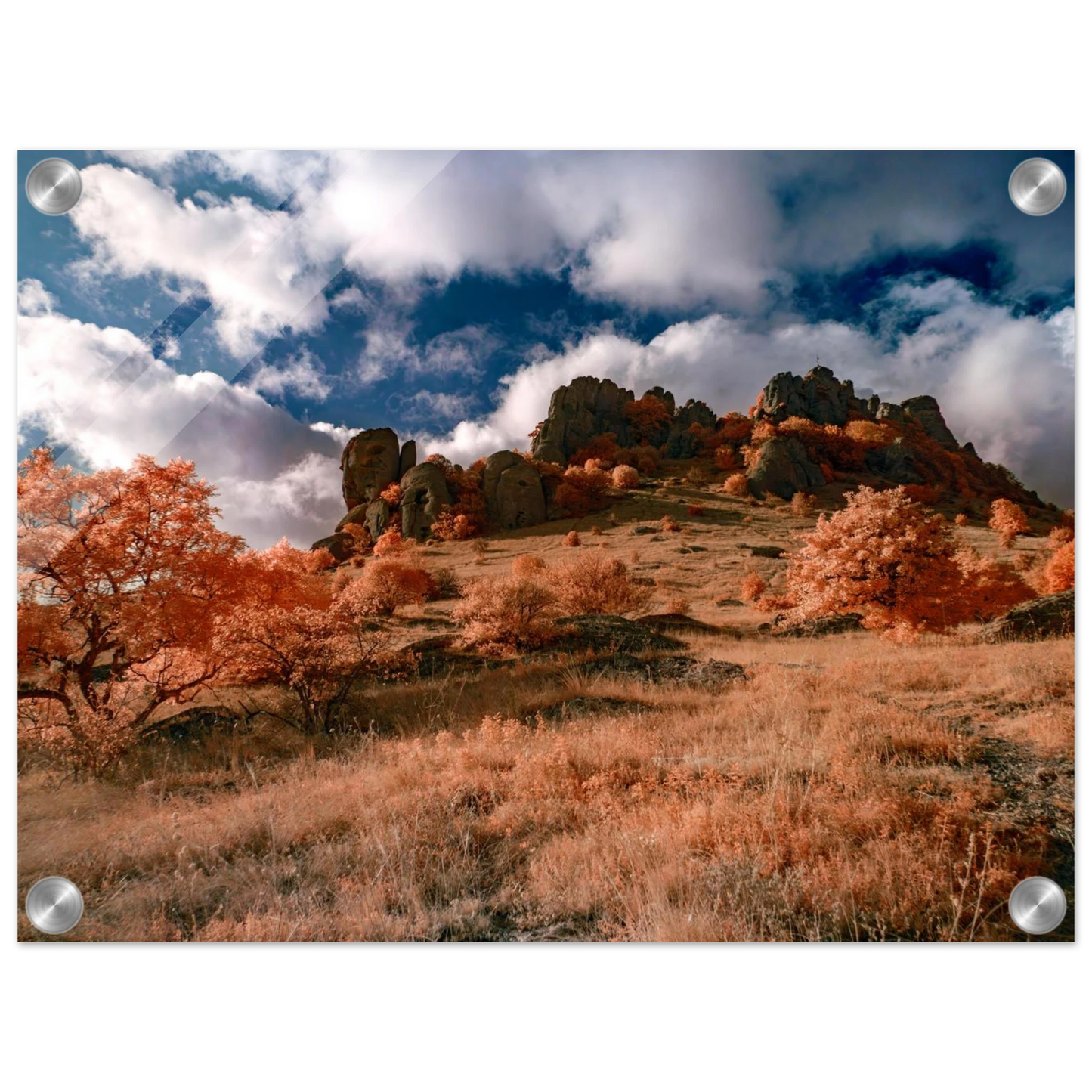 073b1c0f-ac09-46f0-b4f6-5cbfafa7aaf2