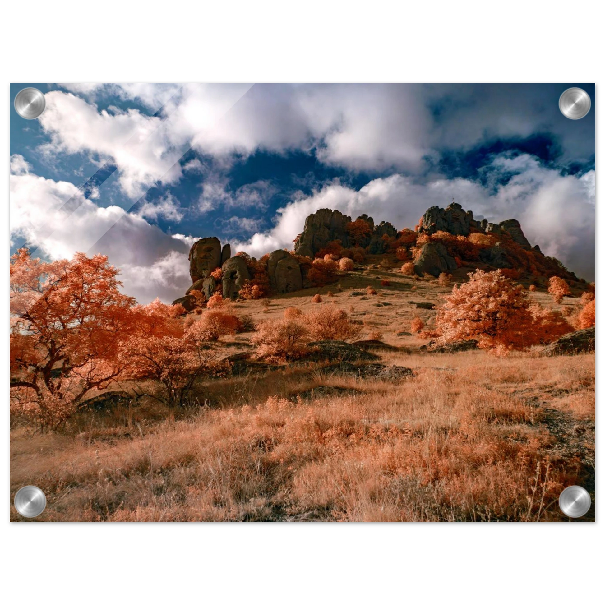 073b1c0f-ac09-46f0-b4f6-5cbfafa7aaf2