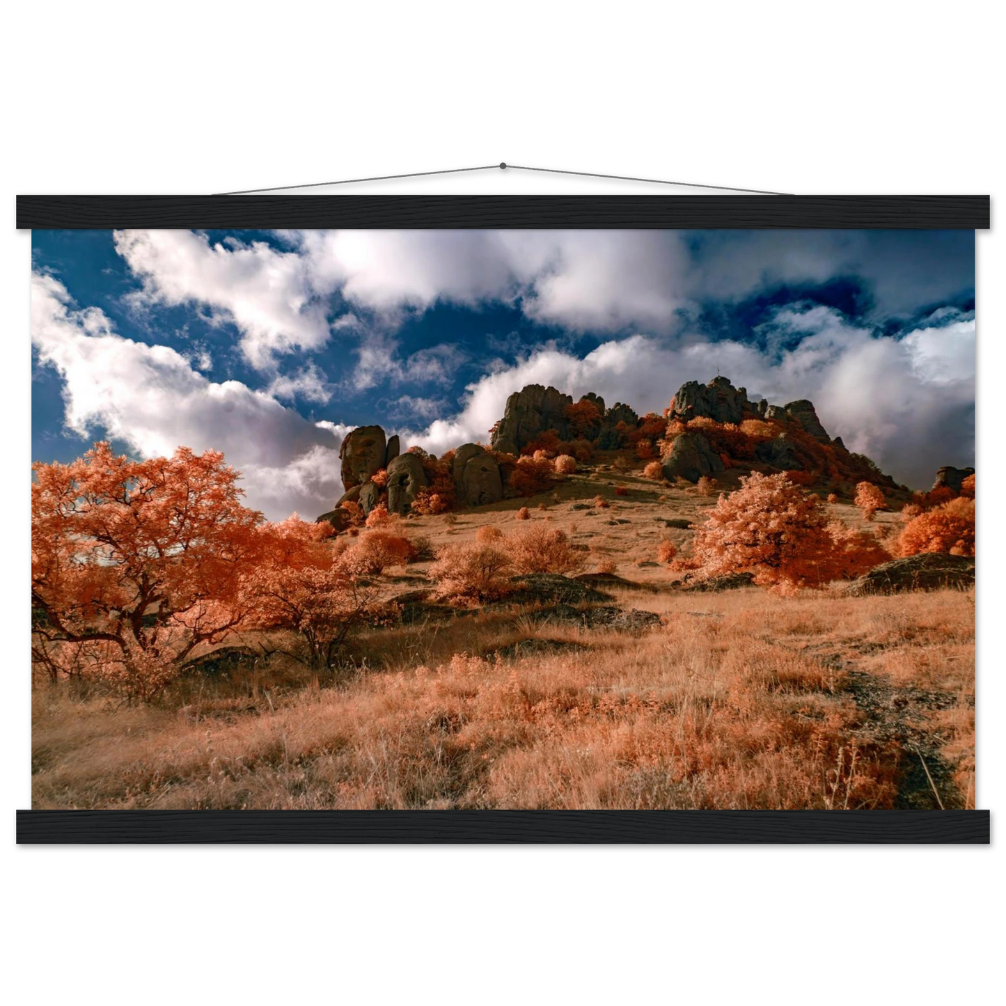 089587b0-d08f-499e-bd1f-406f2eadc69c