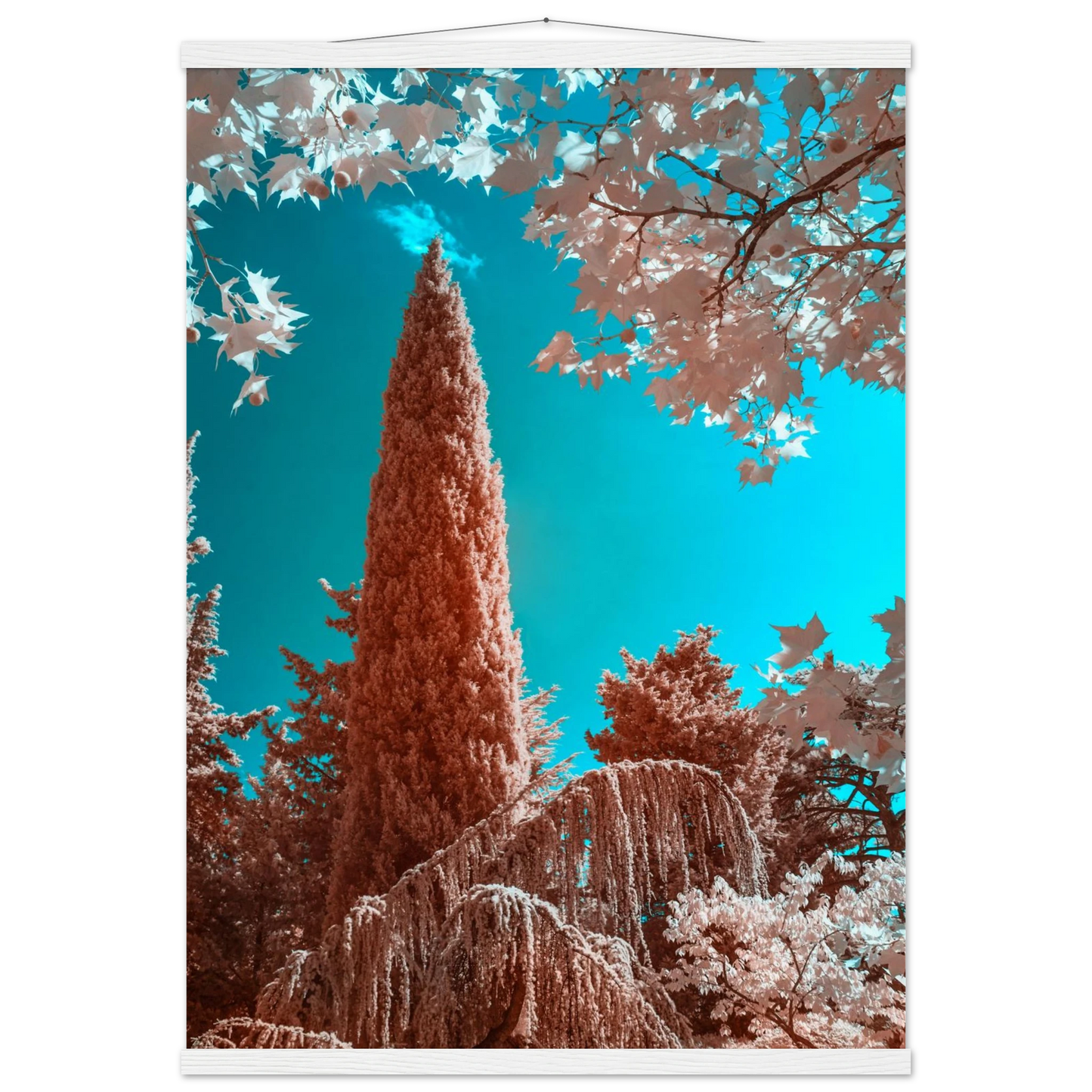 095557f5-2ab3-4090-b98f-601795ed3e94