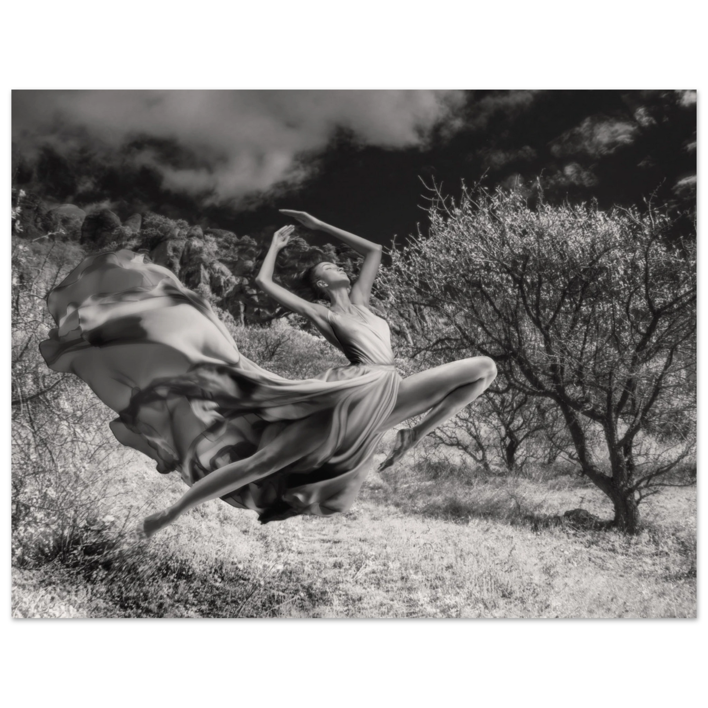 09980bc2-705b-4f4c-b9a6-88ae752452b6