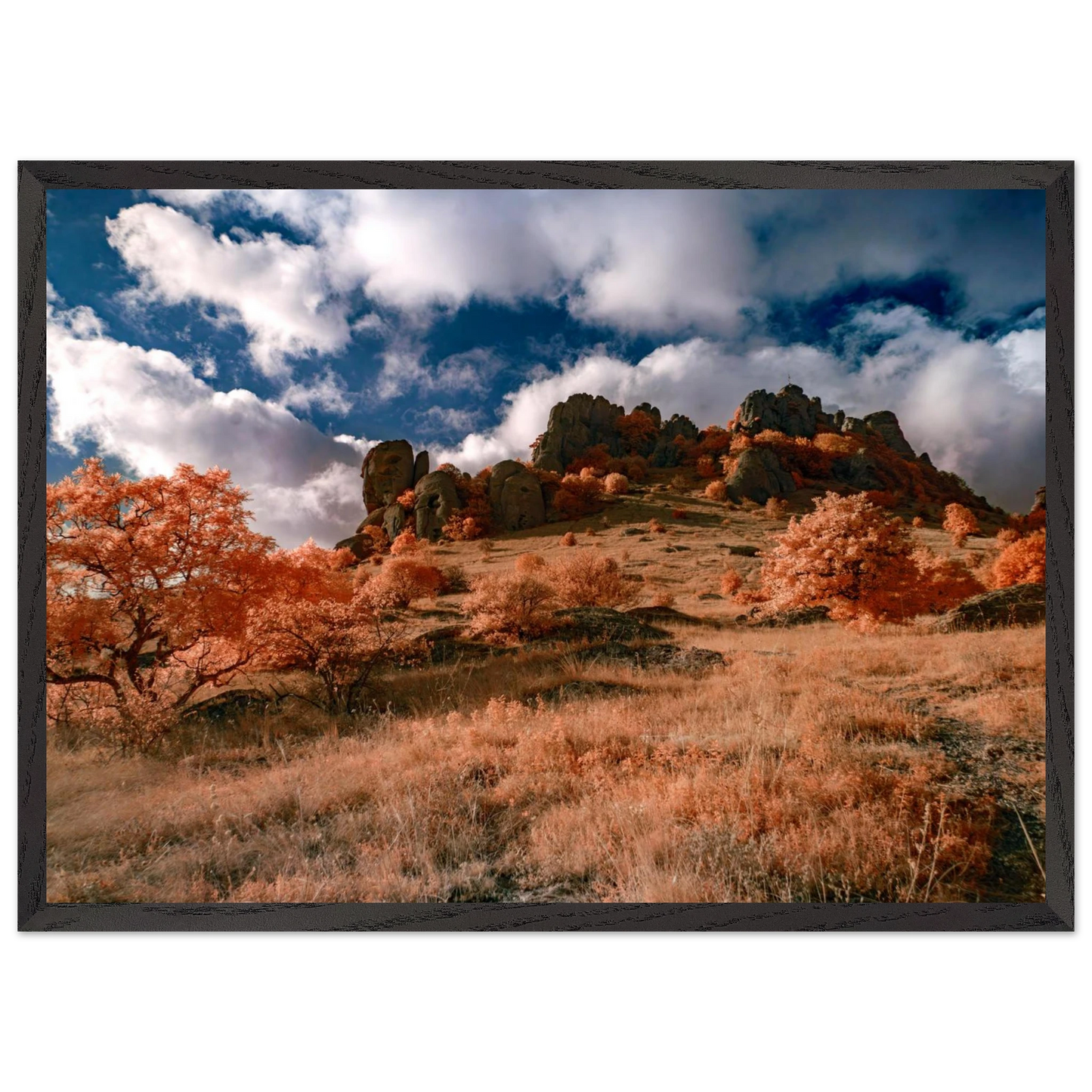 099c6963-0895-42b2-84a9-2915c5c9bf0d