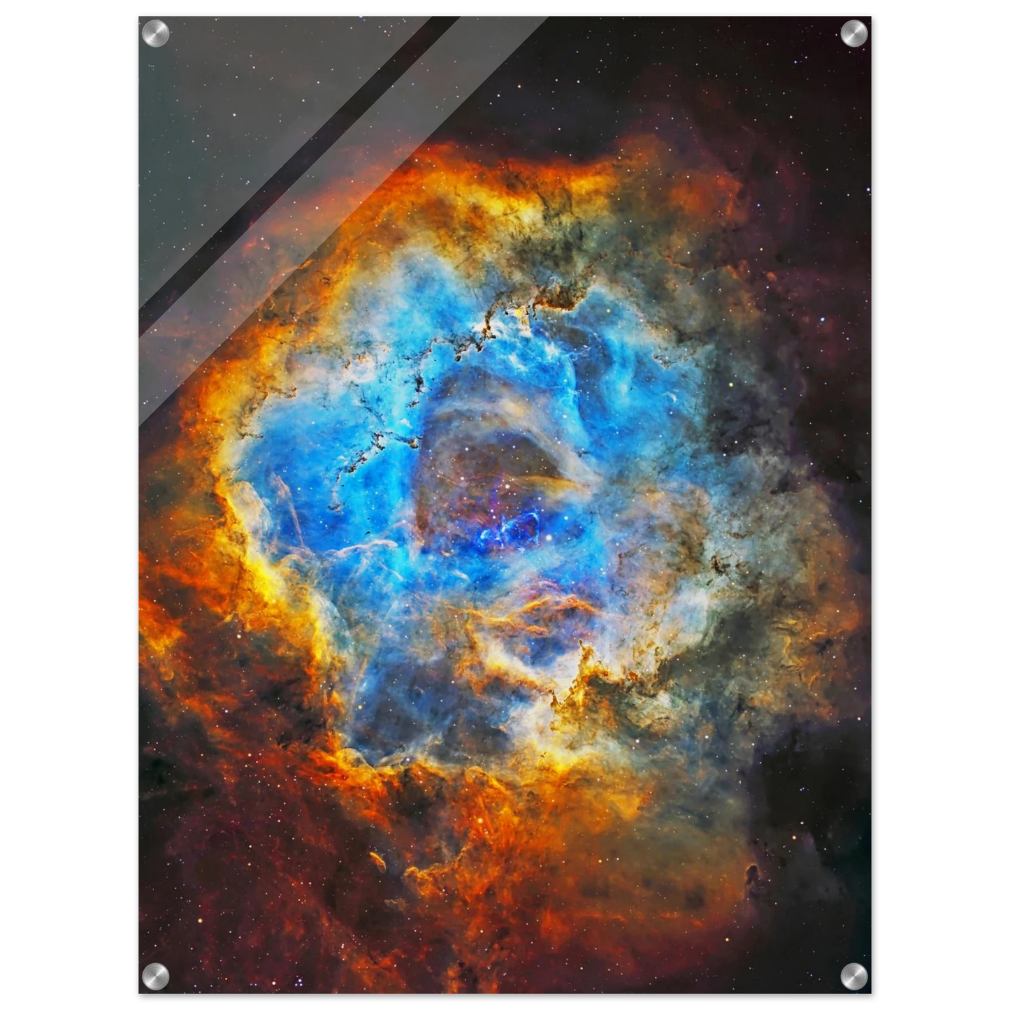 0a705369-0aab-43e4-bc82-810acb2ccaec