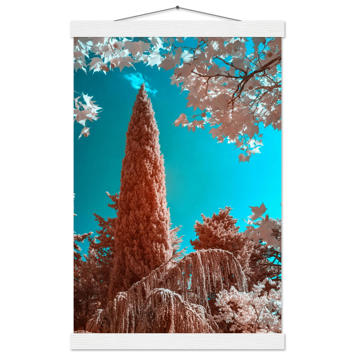 0bed803d-d8f9-48e6-bbe8-35a1392c81c7