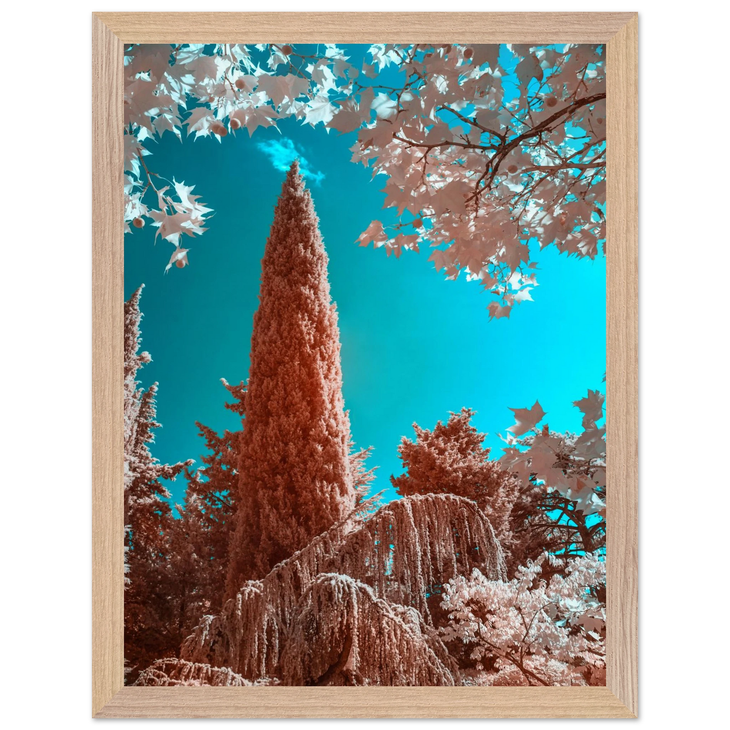 0f68766c-95dc-442a-bdc2-03023ece0d30