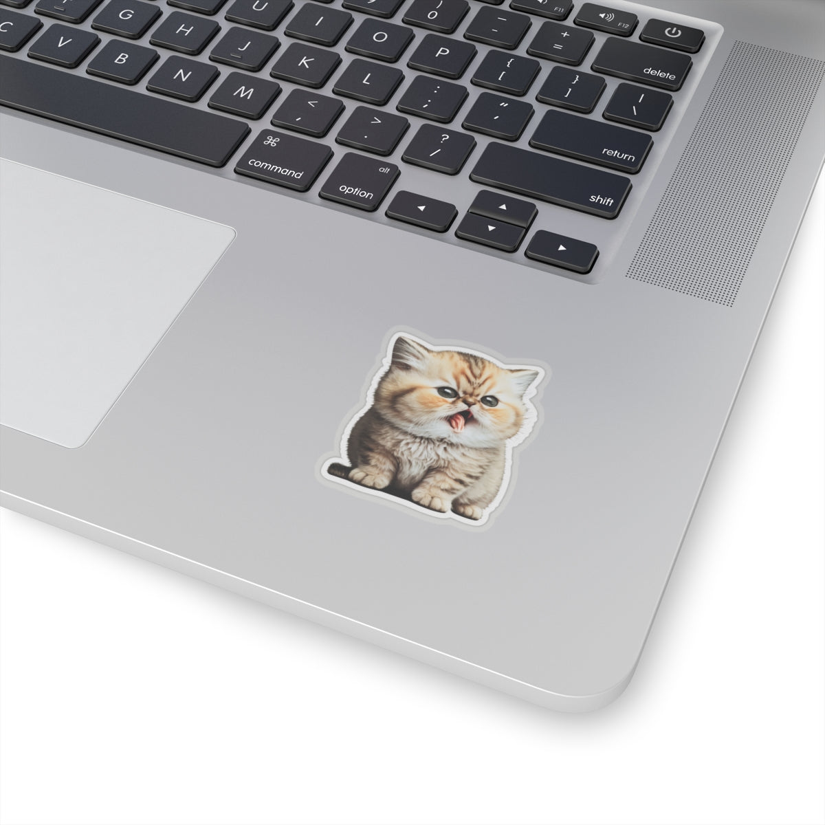 Kiss-Cut Sticker of cute funny golden chinchilla cat kitten for your collection