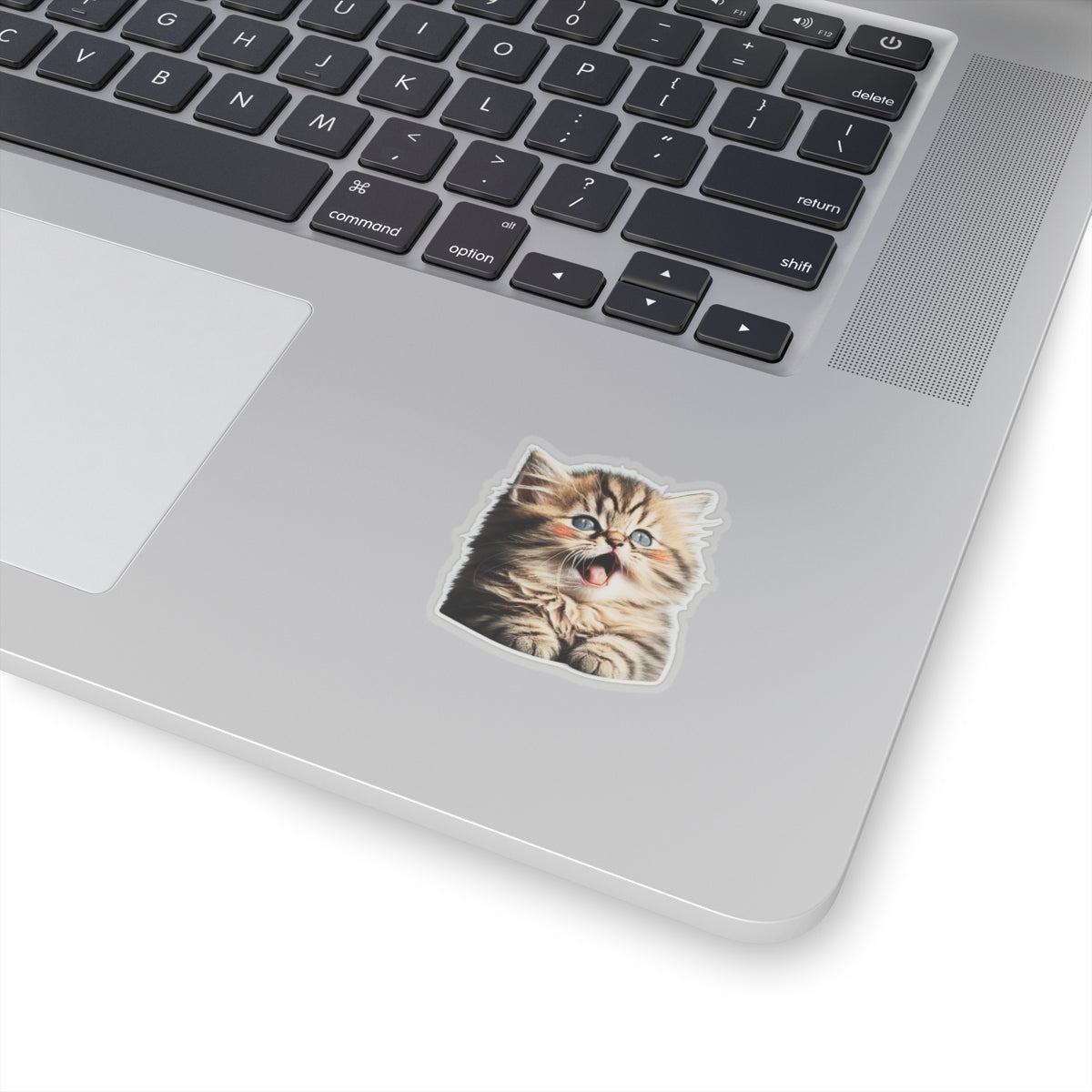 Kiss-Cut Sticker of cute funny golden chinchilla cat kitten for your collection