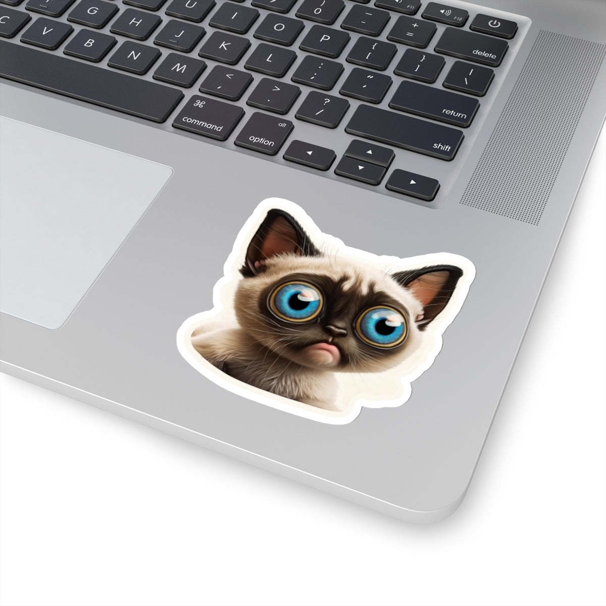 Kiss-Cut Sticker of cute funny cat kitten for your collection