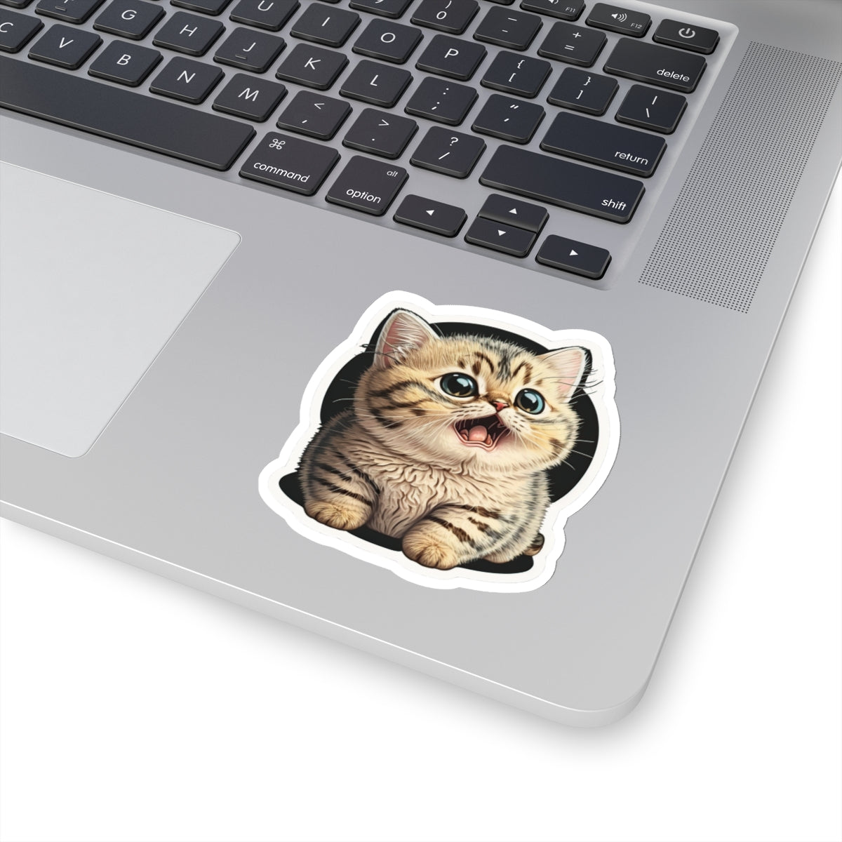 Kiss-Cut Sticker of cute funny burmilla cat kitten for your collection