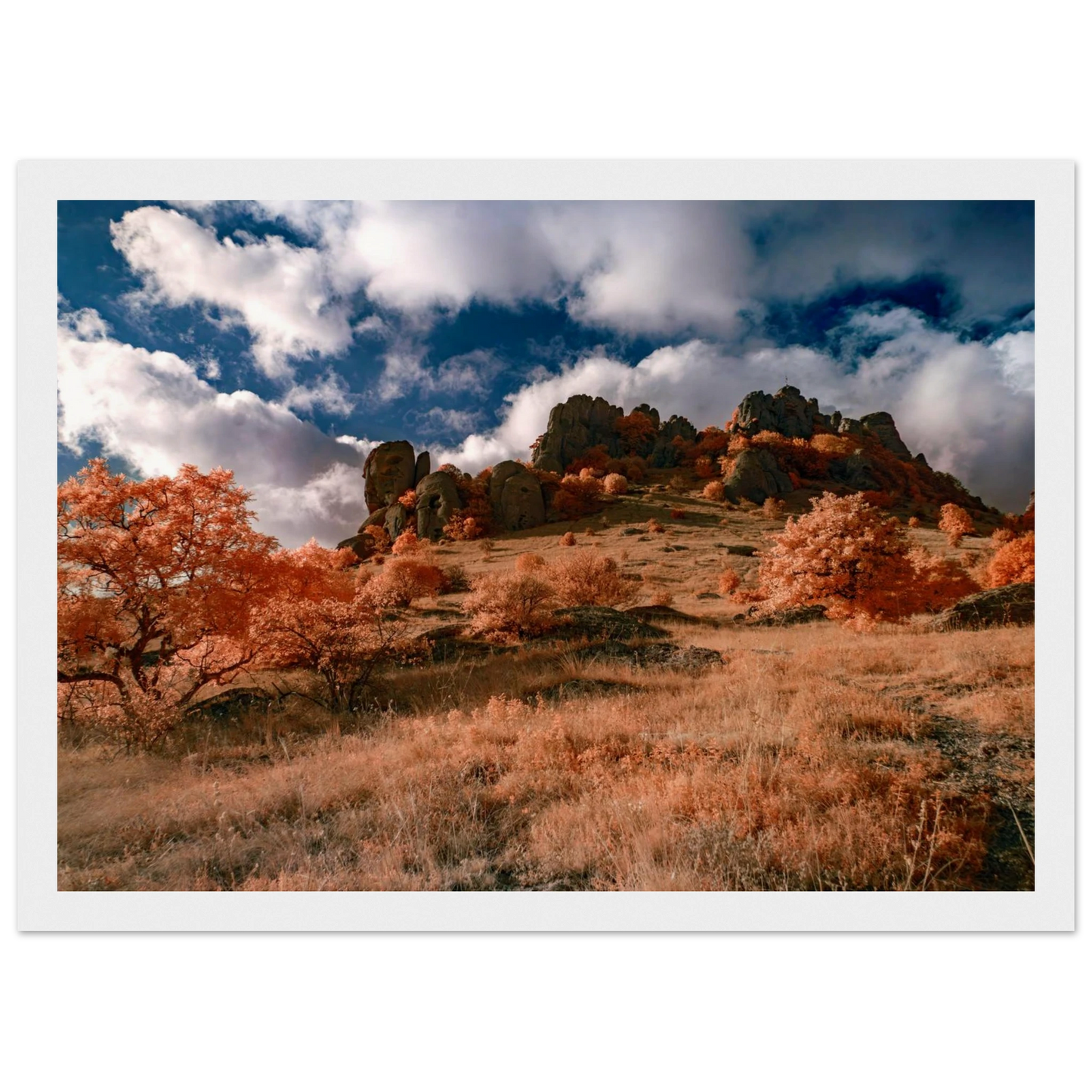 1038b292-22bb-4237-87c5-227e10d296b6