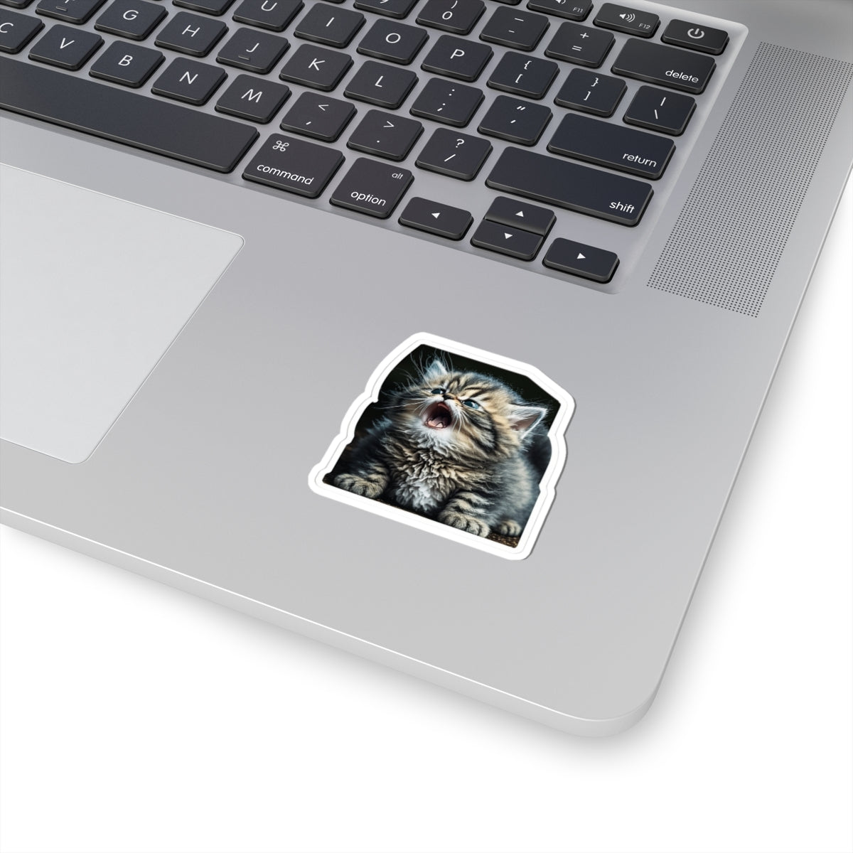Kiss-Cut Sticker of cute funny siberian cat kitten for your collection