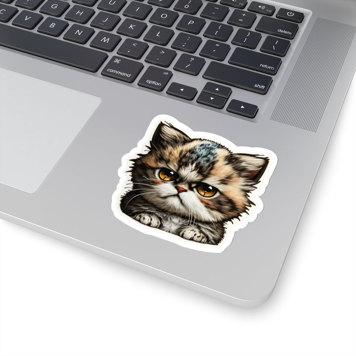 Kiss-Cut Sticker of cute funny grumpy cat kitten for your collection