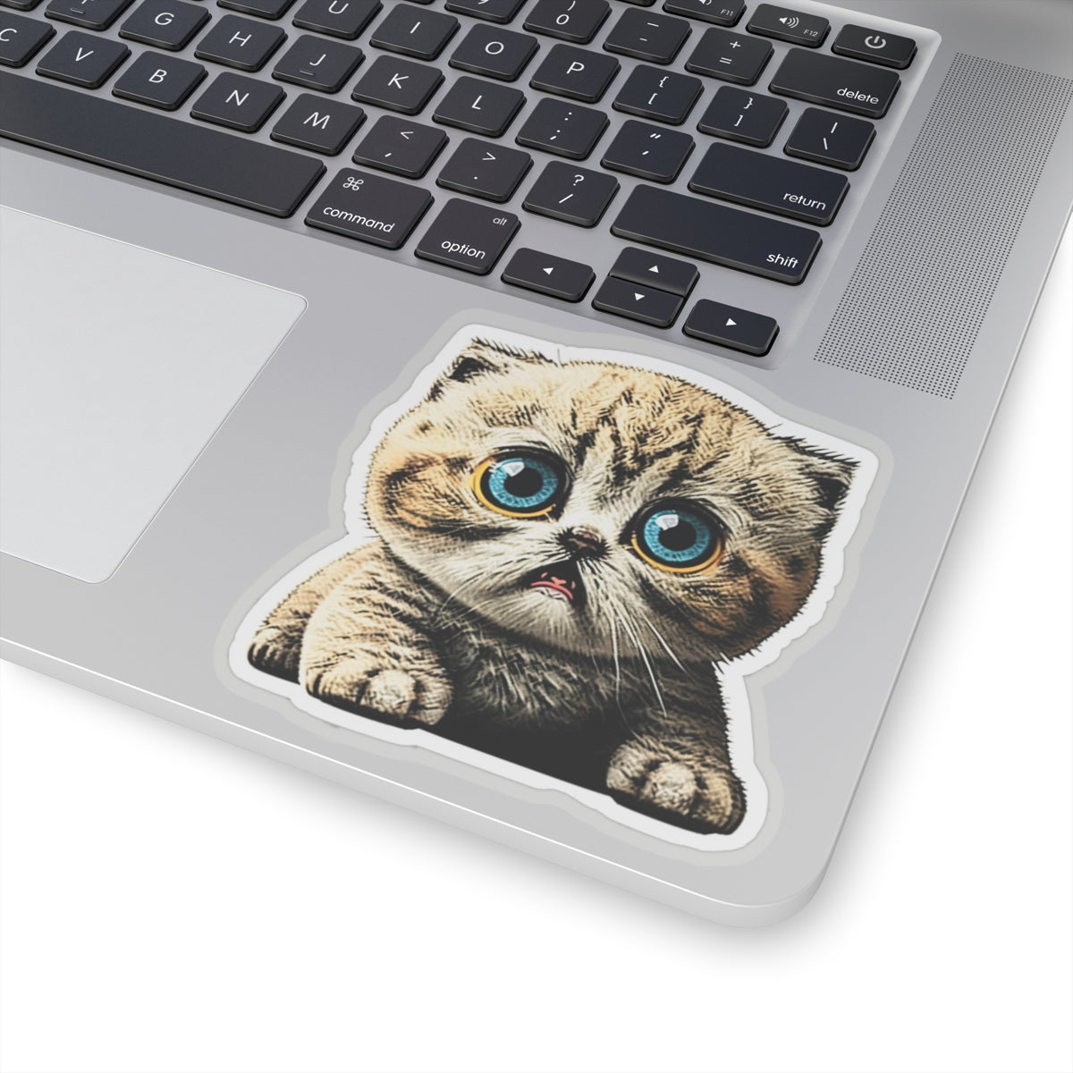 Kiss-Cut Sticker of cute funny cat kitten for your collection