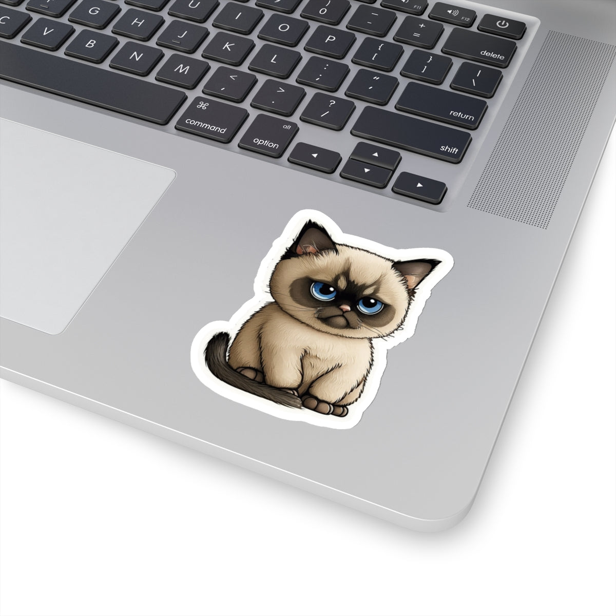 Kiss-Cut Sticker of cute funny cat kitten for your collection