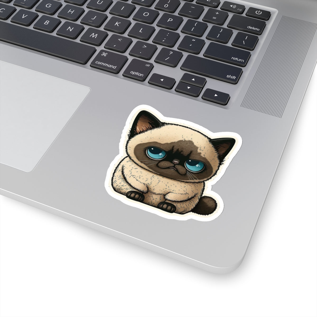 Kiss-Cut Sticker of cute funny cat kitten for your collection