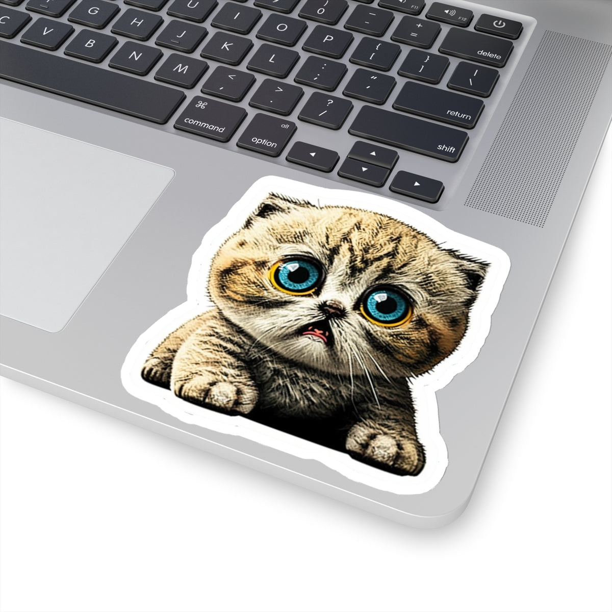 Kiss-Cut Sticker of cute funny cat kitten for your collection