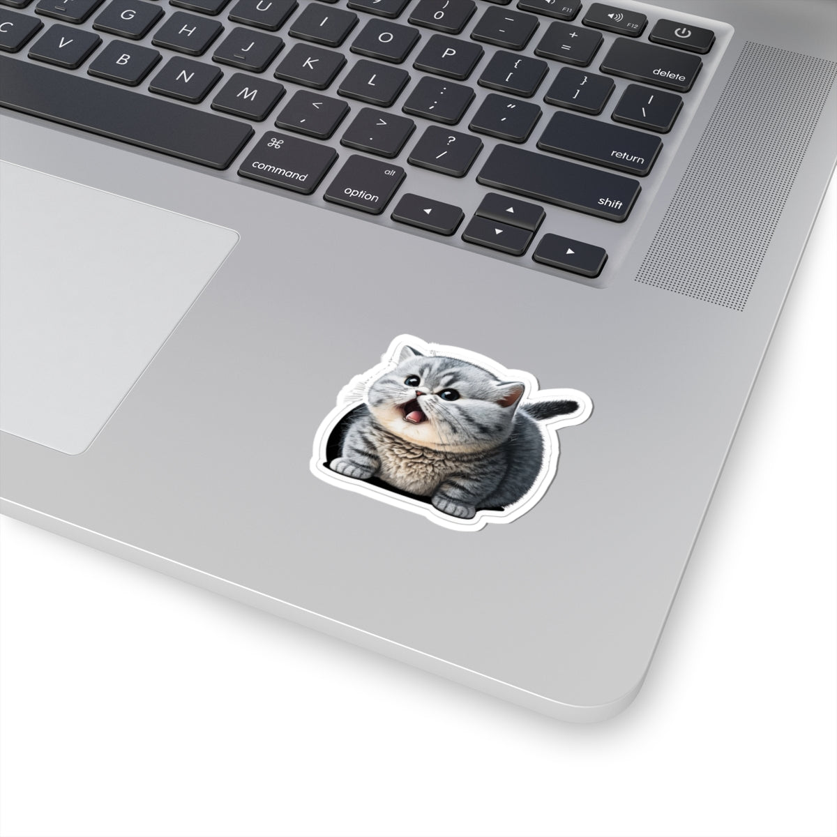 Kiss-Cut Sticker of cute funny burmilla cat kitten for your collection