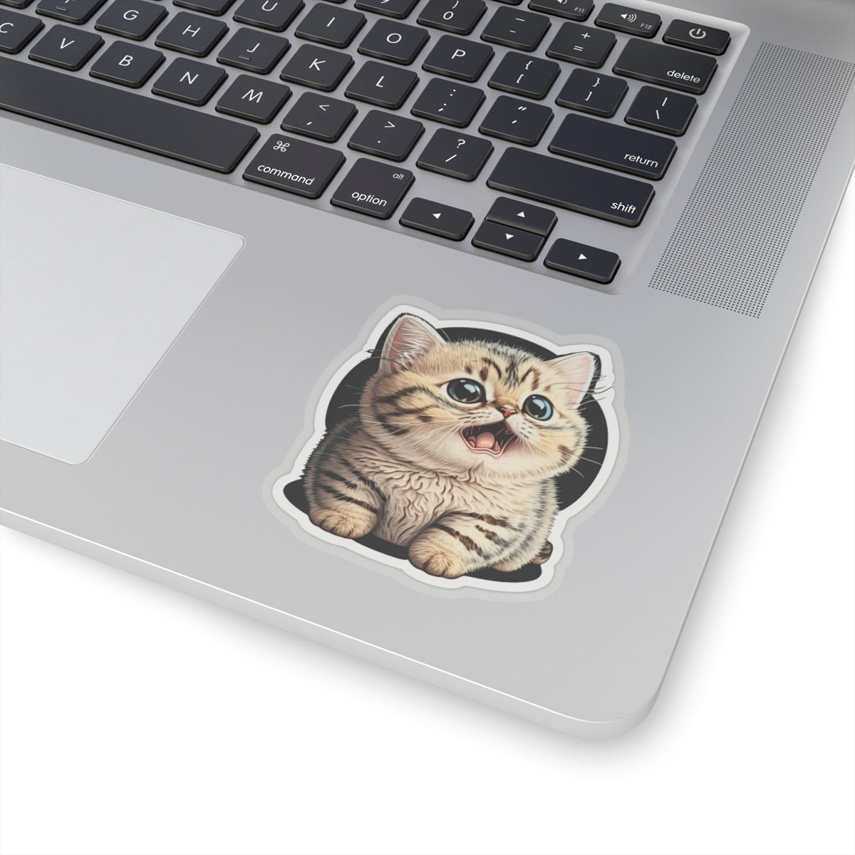 Kiss-Cut Sticker of cute funny burmilla cat kitten for your collection