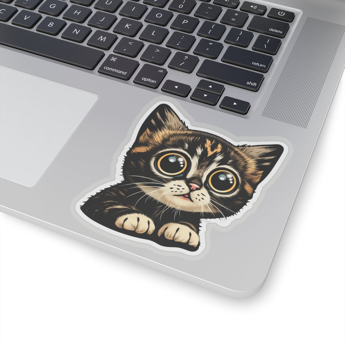 Kiss-Cut Sticker of cute funny cat kitten for your collection