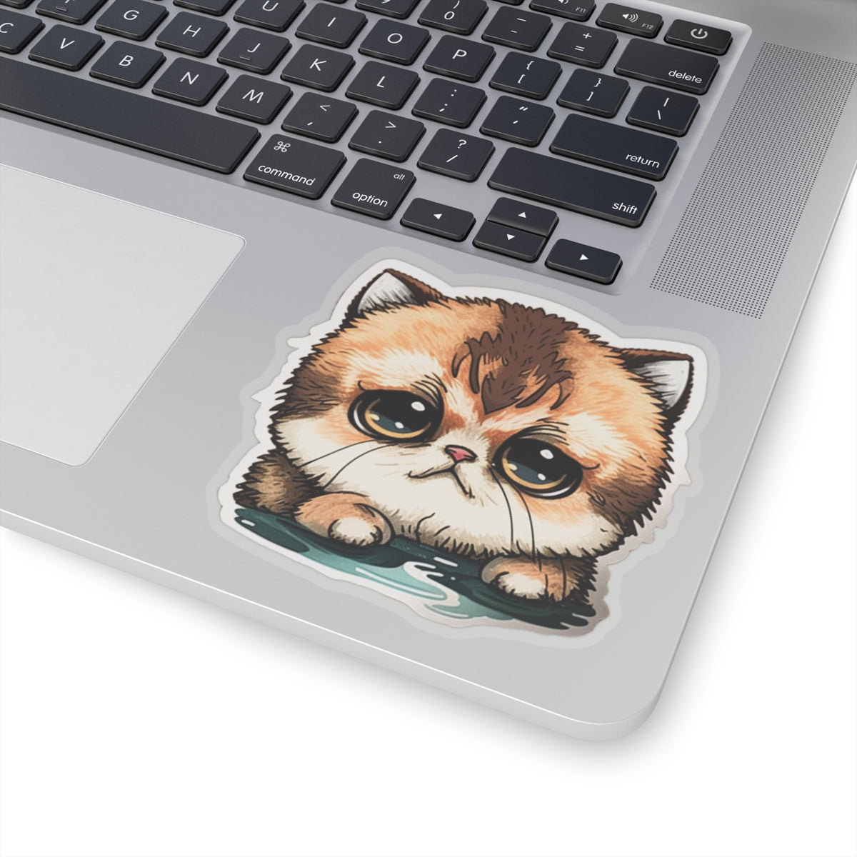 Kiss-Cut Sticker of cute funny cat kitten for your collection