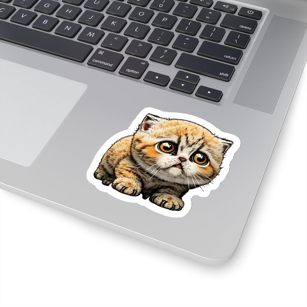 Kiss-Cut Sticker of cute funny cat kitten for your collection