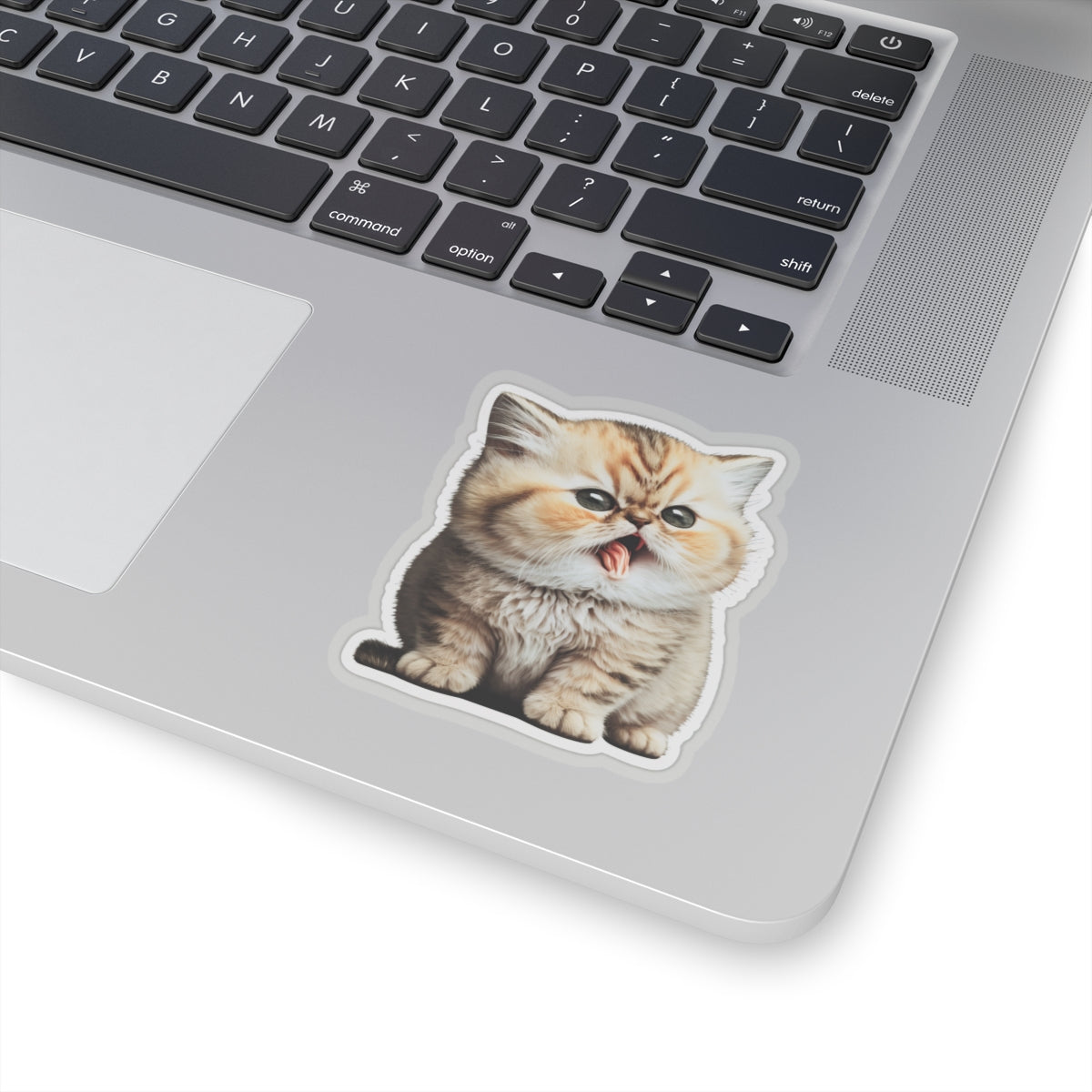 Kiss-Cut Sticker of cute funny golden chinchilla cat kitten for your collection