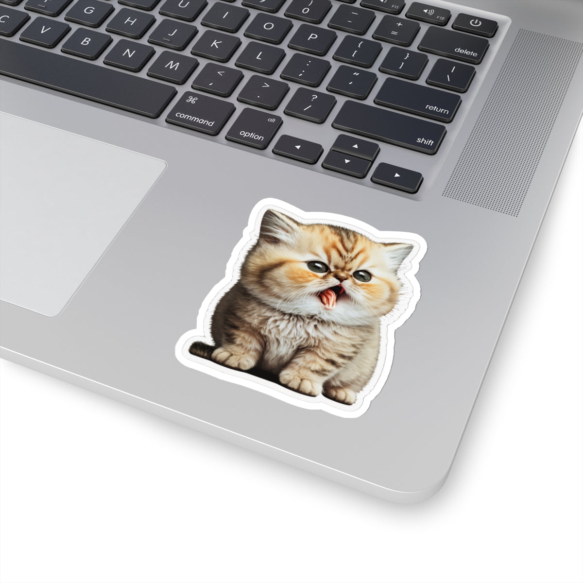 Kiss-Cut Sticker of cute funny golden chinchilla cat kitten for your collection