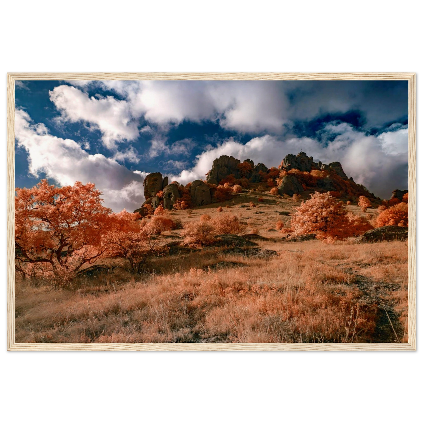 11f1e75d-0f4e-4d4e-9203-c56616438019