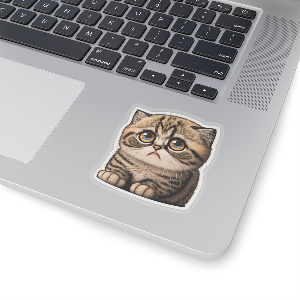 Kiss-Cut Sticker of cute funny cat kitten  for your collection