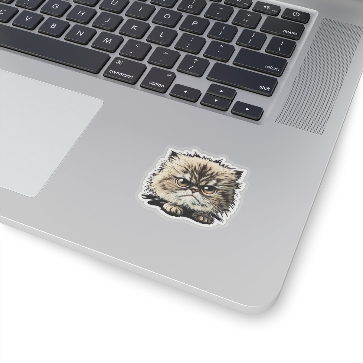 Kiss-Cut Sticker of cute funny cat kitten  for your collection