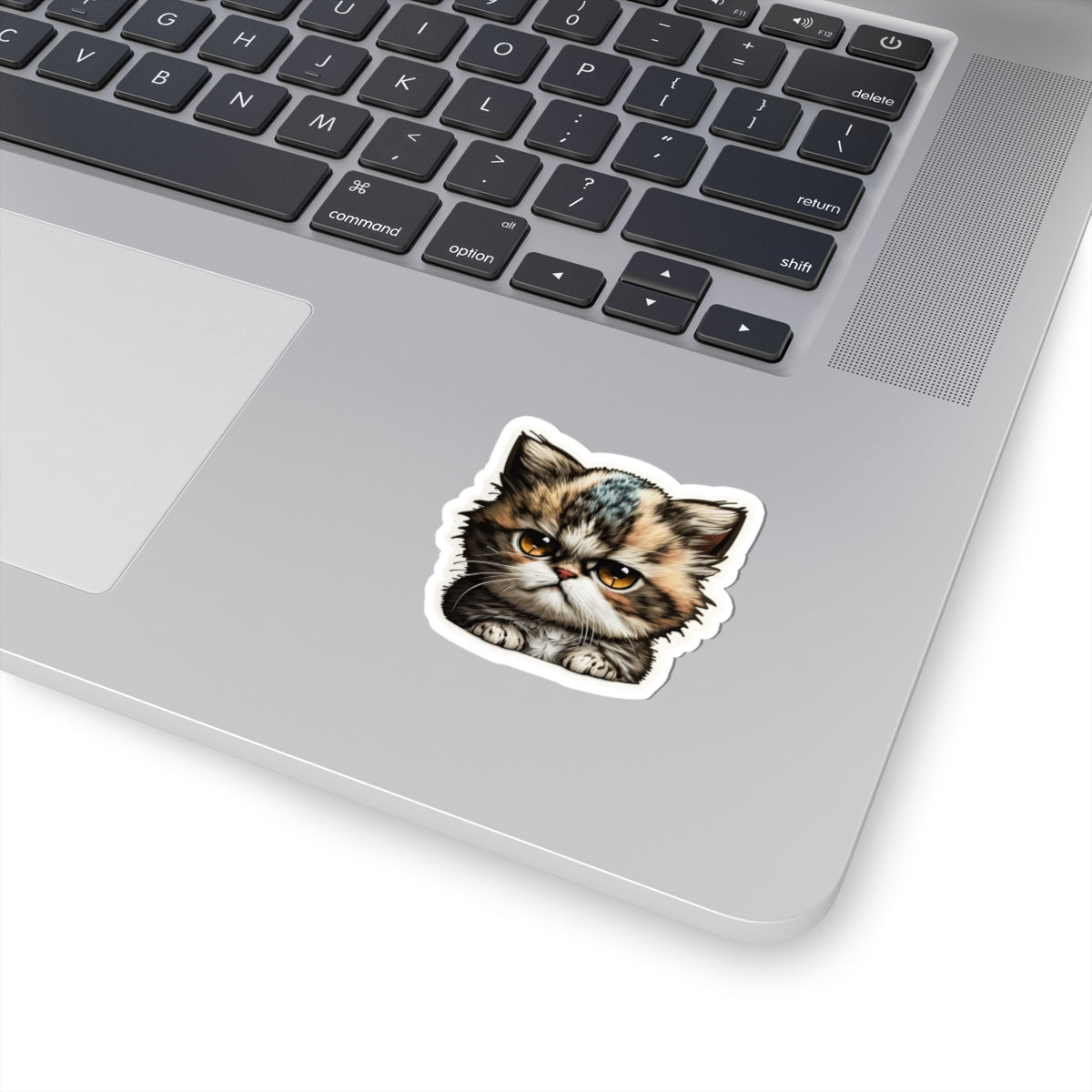 Kiss-Cut Sticker of cute funny grumpy cat kitten for your collection