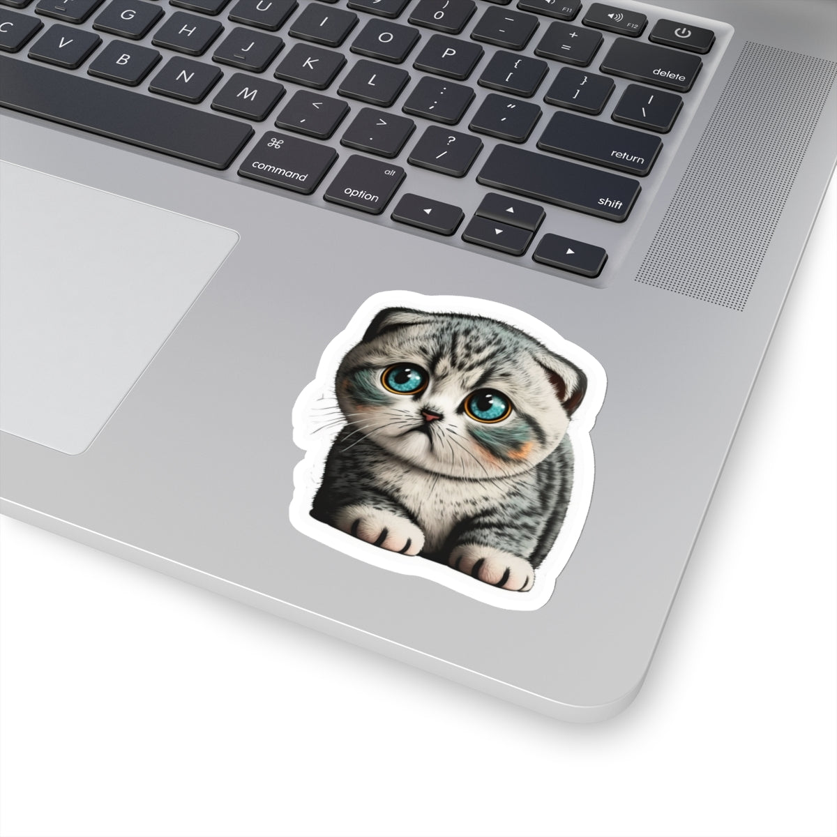 Kiss-Cut Sticker of cute funny cat kitten  for your collection