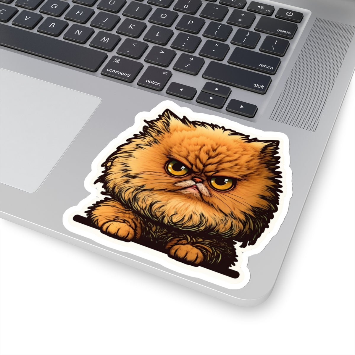 Kiss-Cut Sticker of cute funny angry cat kitten for your collection