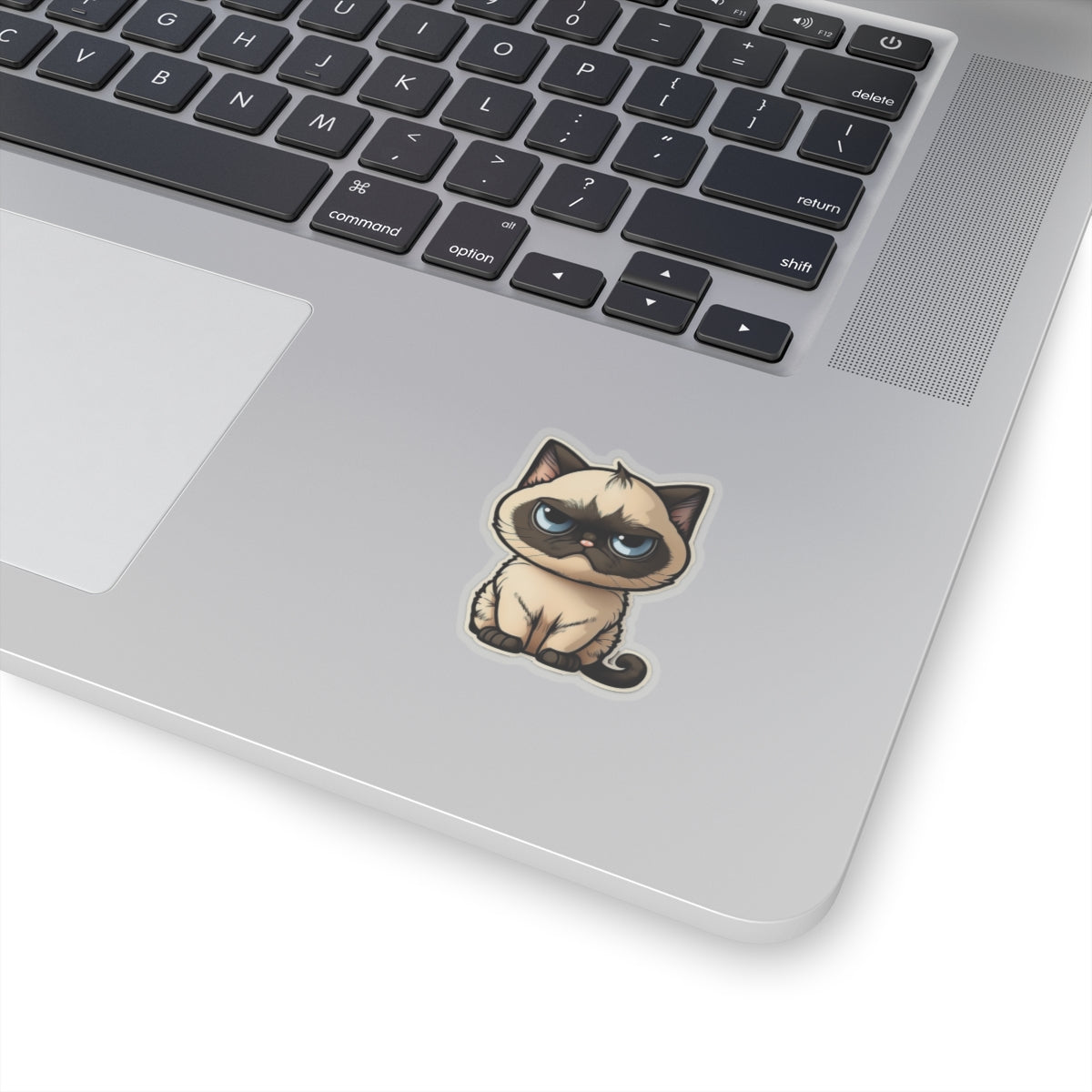 Kiss-Cut Sticker of cute funny cat kitten  for your collection