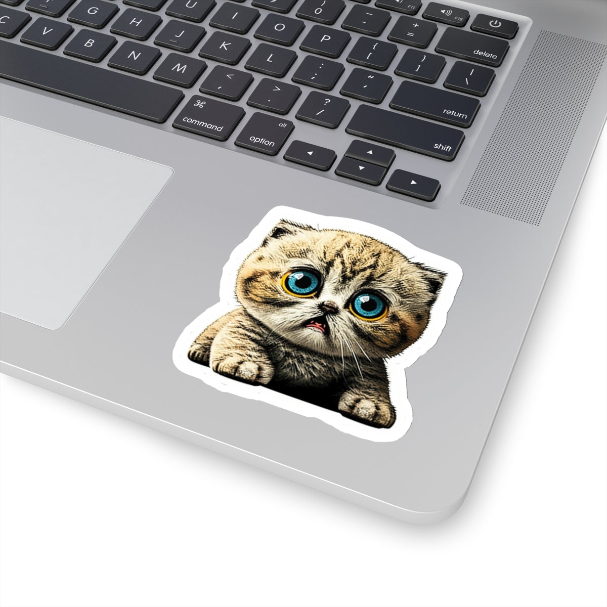 Kiss-Cut Sticker of cute funny cat kitten for your collection