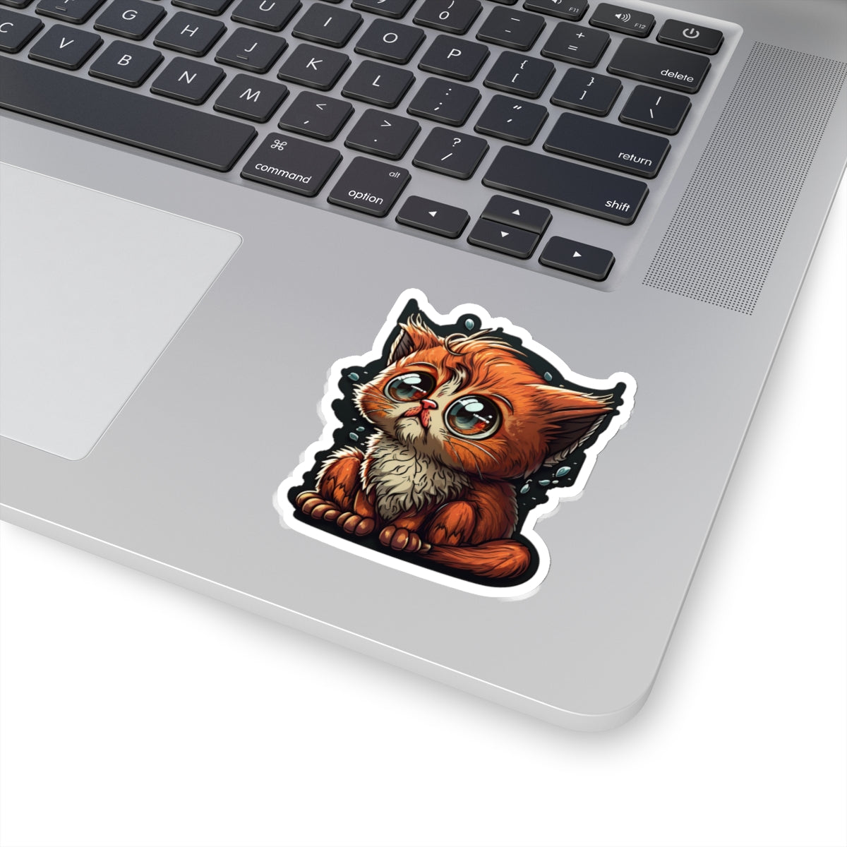 Kiss-Cut Sticker of cute funny cat kitten for your collection