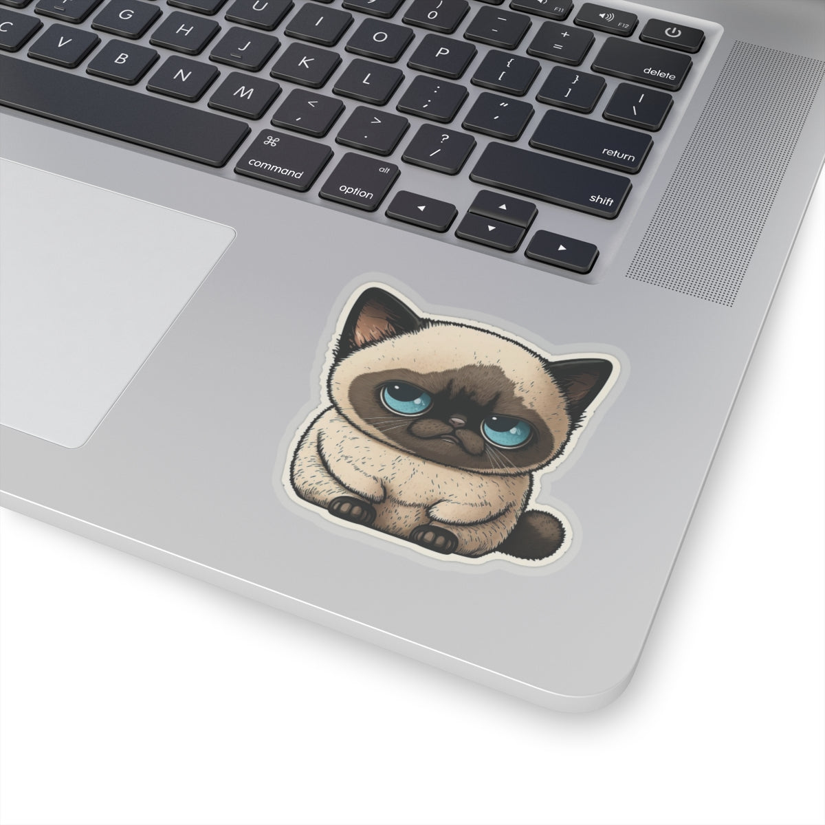 Kiss-Cut Sticker of cute funny cat kitten for your collection