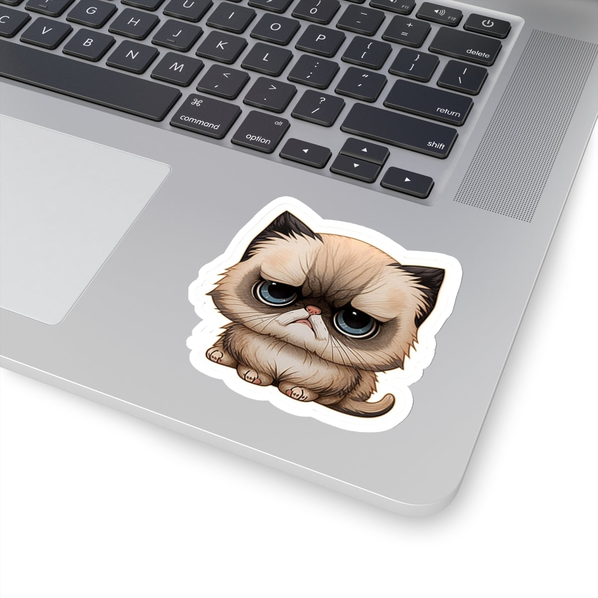 Kiss-Cut Sticker of cute funny cat kitten for your collection