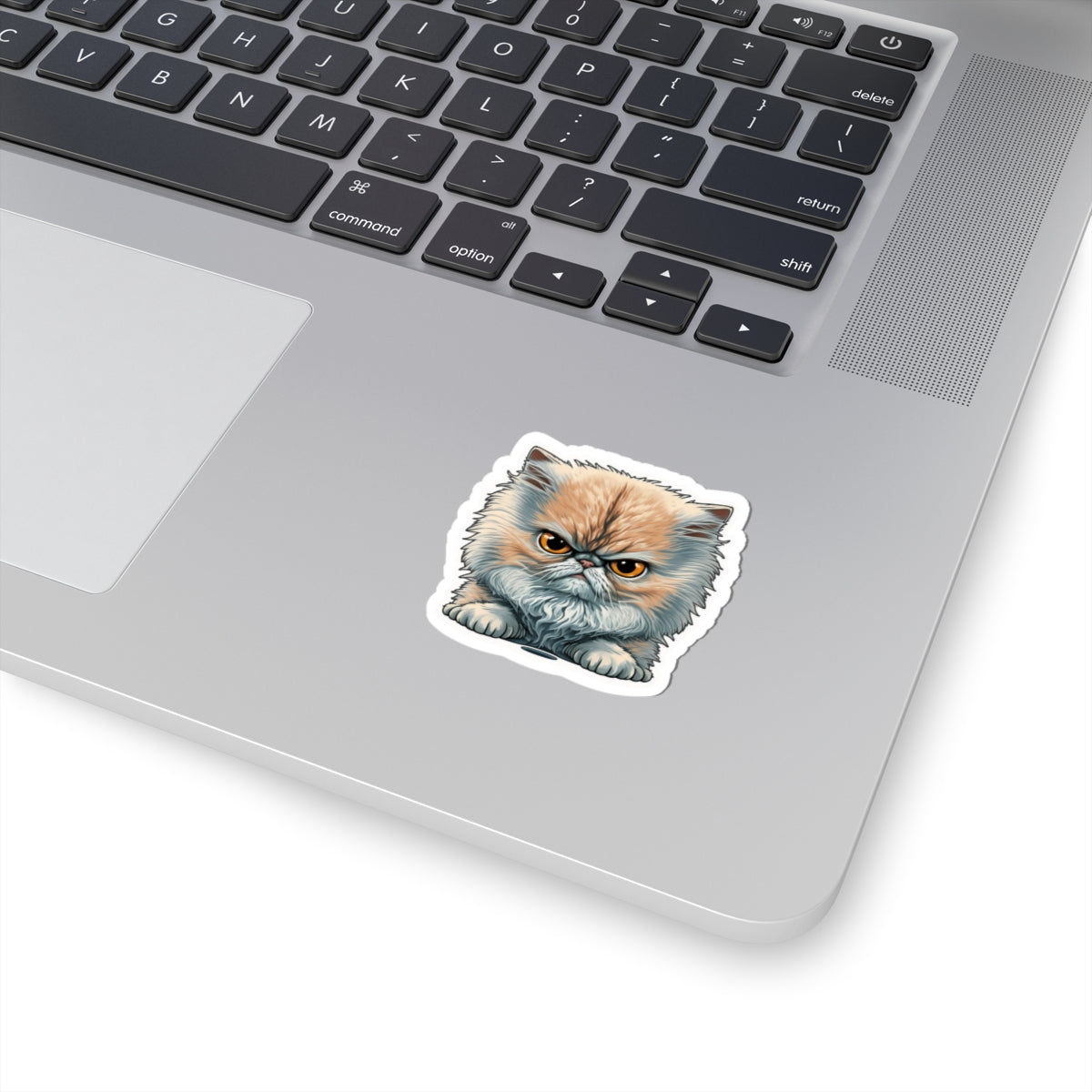 Kiss-Cut Sticker of cute funny angry cat kitten for your collection