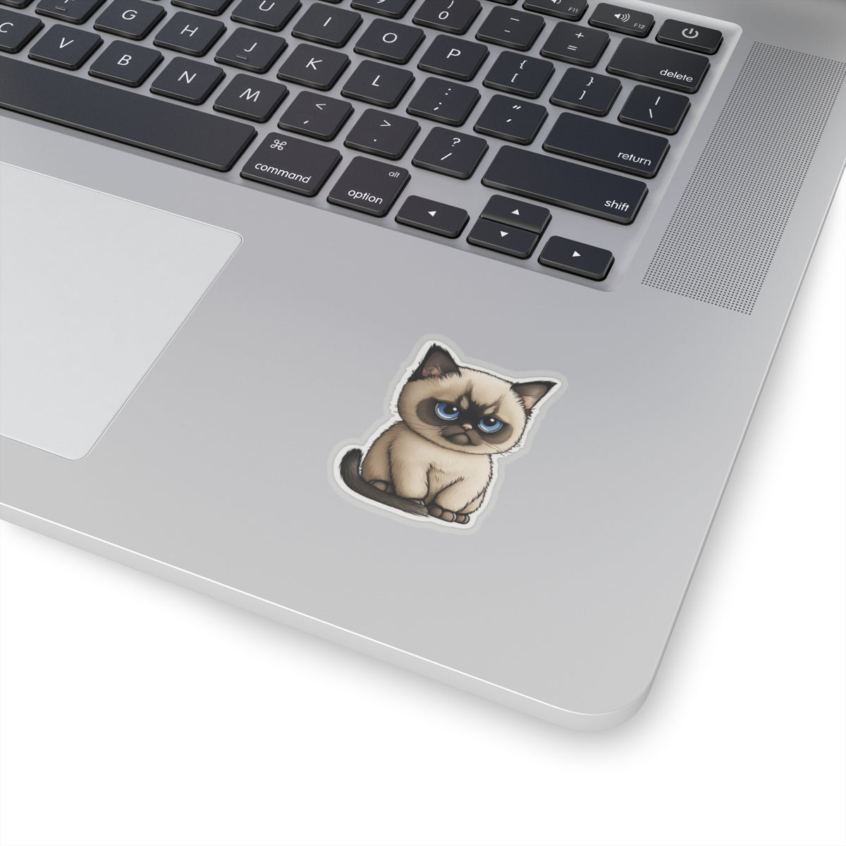 Kiss-Cut Sticker of cute funny cat kitten for your collection