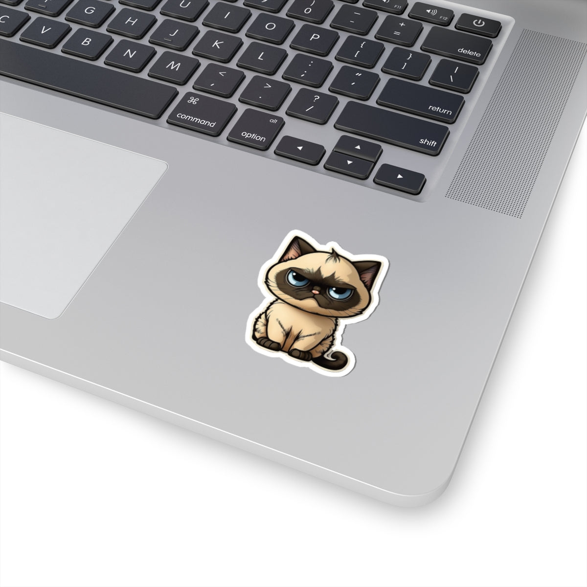 Kiss-Cut Sticker of cute funny cat kitten  for your collection