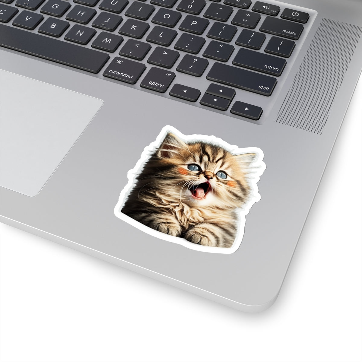 Kiss-Cut Sticker of cute funny golden chinchilla cat kitten for your collection