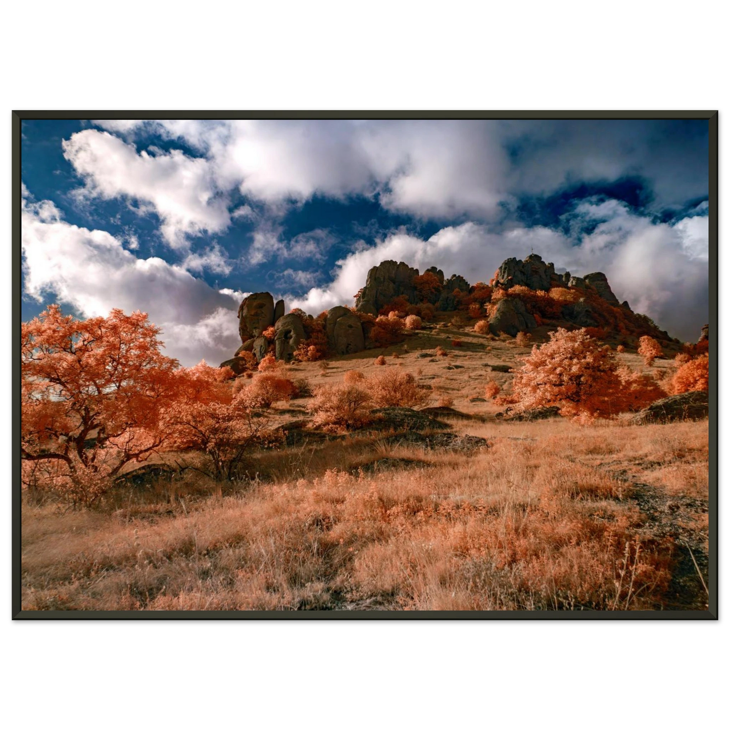 13be1ed8-44e7-4925-a413-6827ef9346ab