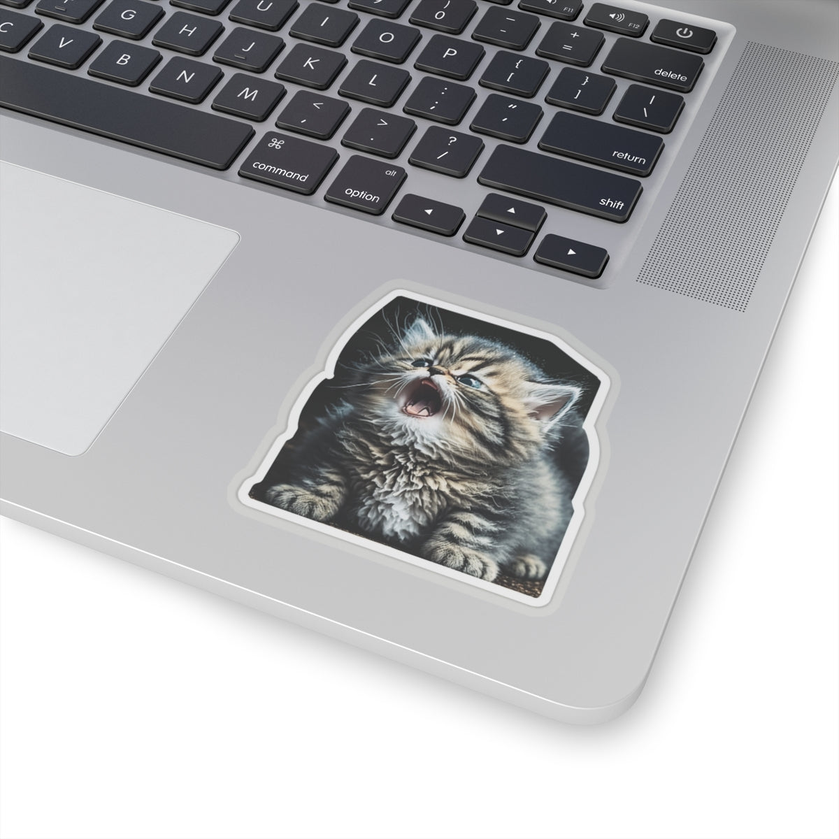 Kiss-Cut Sticker of cute funny siberian cat kitten for your collection